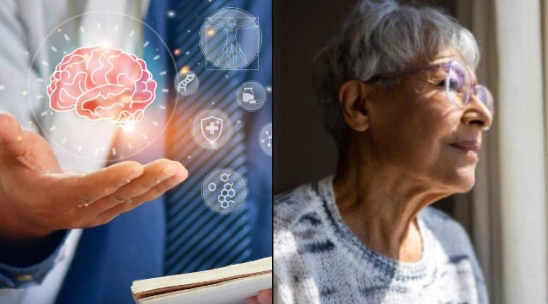 Descubren que la enfermedad de Alzheimer podría dañar el cerebro en dos fases distintas