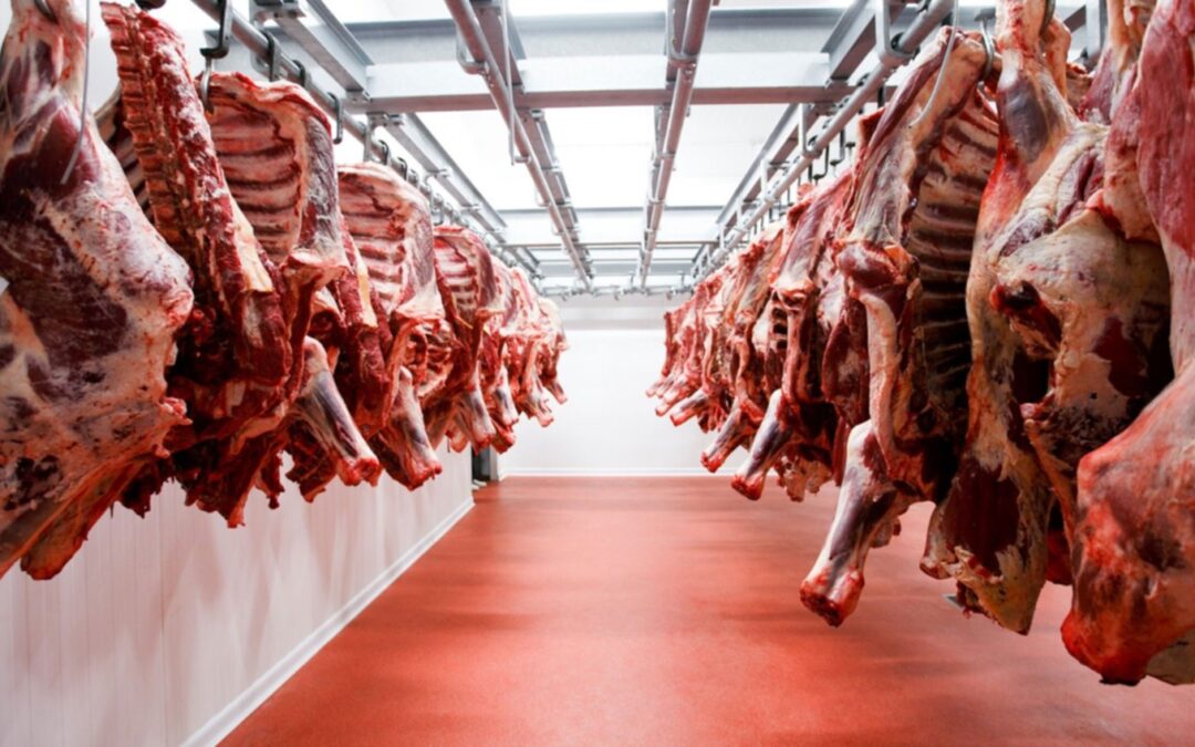 Las exportaciones de carne tuvieron el registro más alto en los últimos 57 años