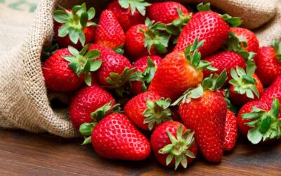 Importaciones de alimentos crecieron 82% en diciembre: impacto crítico para el campo