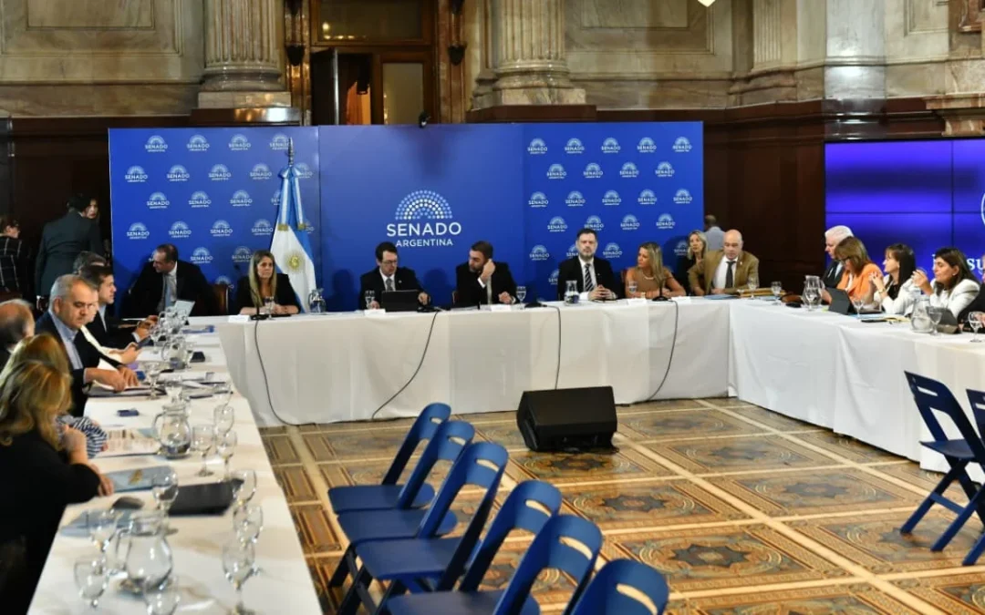 Senado: LLA no incorporó al dictamen del Presupuesto el capítulo 11 rechazado por Diputados