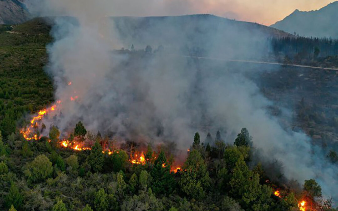 Tres detenidos por los incendios en El Bolsón: tensión y disturbios en la comisaría