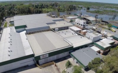 Granja Tres Arroyos despidió a 260 empleados argumentando caída de la actividad por la gripe aviar