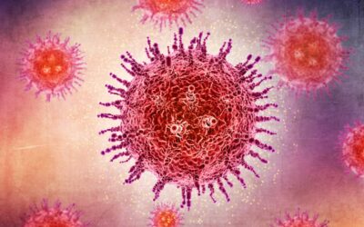 ¿Qué es el virus Shamonda?